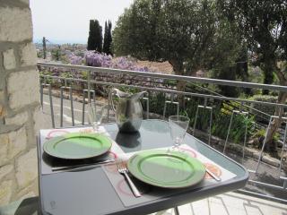 Sur les hauteurs de VENCE - Vence - 7