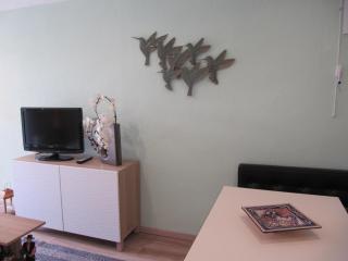 Sur les hauteurs de VENCE - 3