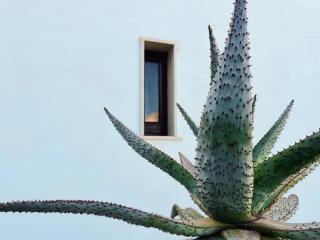 LE TERRAZZE SAN VITO LO CAPO - San Vito lo Capo - 7