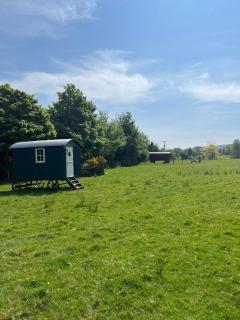 Wicklow Wild Glamping Shepherds Huts at Greenan Maze - 6