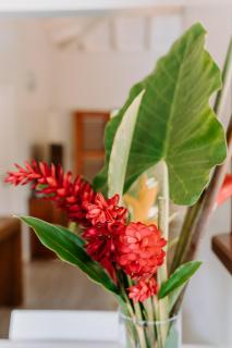 Habitation TABANON - 5