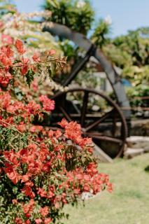 Habitation TABANON - 8