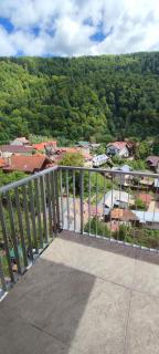 STUDIO JACUZZI BELLE VIEW SINAIA-free parking - 4
