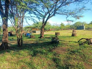 Popo Camp Lake Baringo - 7