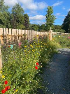 Wicklow Wild Glamping Shepherds Huts at Greenan Maze - 1