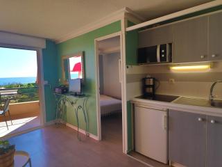 Joli 2 pièces avec terrasse, piscine et garage privé à Sète - FR-1-472A-245 - Sète - 4