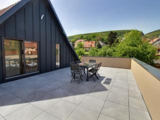 Charmante maison 3 chambres au cœur du vignoble avec terrasse - FR-1-722-8 - Voegtlinshoffen - 6