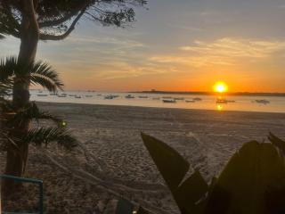 Mi Paraiso - Sanlúcar de Barrameda - 3