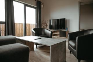 Vík Apartments - Vík - 6