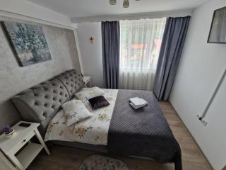 CaraimanApart byMNA - Buşteni - 8