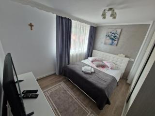 CaraimanApart byMNA - Buşteni - 9