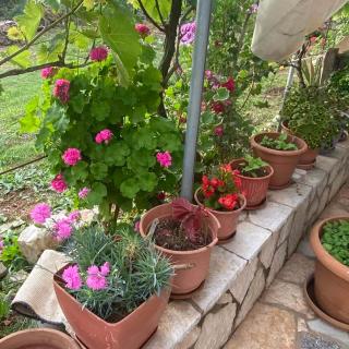 Ilias family rooms - Himarë - 8