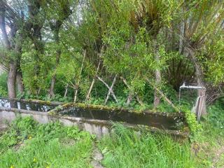 Gîtes Taïga Aventure - 1