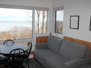 Studios d'hébergement du Domaine - Saint-Irénée - 2