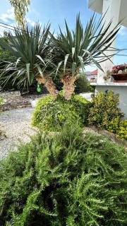 Apartmani Grgić - Trogir - 0