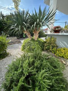 Apartmani Grgić - Trogir - 2
