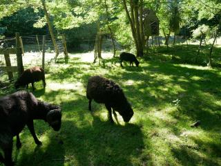 Maison Canal de Nantes à Brest - 3
