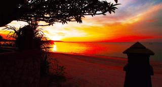 Ammatara Pura Pool Villa - 2