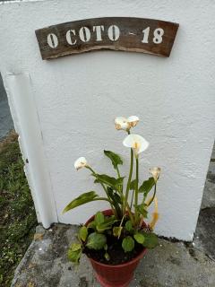 Casa Pancha - Ribadeo - 8