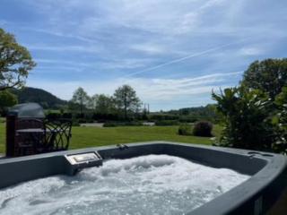 1 bed in Presteigne 80294 - Byton - 9