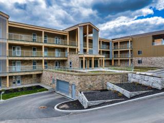 Lago by Tremblant Platinum - 9