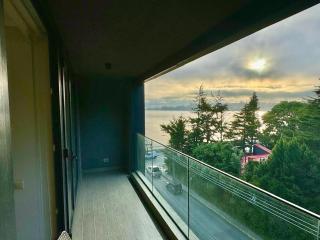 Hermoso Depto 2D2B 01 Parking a Pasos del Lago - Puerto Varas - 9