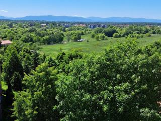 Green Apartament - 7