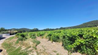 Location Gite avec Piscine Luberon ARTEMISS - Apt - 5