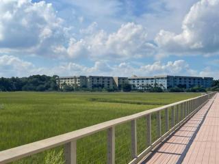 Resort Daze-2 Bedroom, Short Walk to the Beach - Hilton Head Island - 2