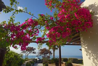 Villa Sunrise by the Sea - 4