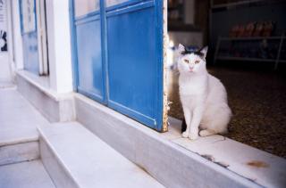 Marvelous Naxos Apartment Two Bedroom Apartment City Center 200M From The Beach Saint George - Naxos Chora - 7