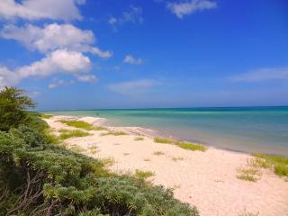 Lemnus Luxury villa walking distance to Chicxulub - Chicxulub - 6