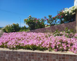 Villa Harry's - Alexandroupoli - 2