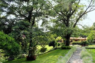 Casa Nau - Tu SPA de fin de semana - Cuernavaca - 5
