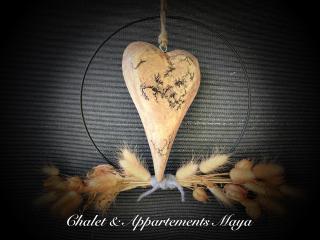 Chalet Maya - Schladming - 3