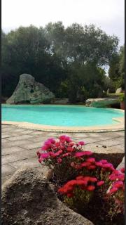 Seaside Villa in Porto Rotondo + Shared Pool - 0