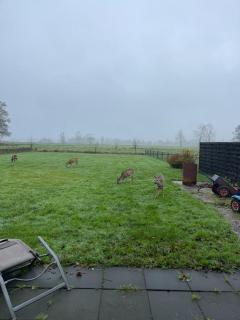 Blokhut Klein Meerzicht - Haren - 8