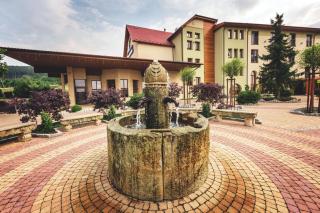 Malinowy Dwór Hotel Medical SPA - Świeradów-Zdrój - 1