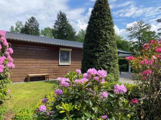 Ruime en comfortabele bungalow aan bosrand - Lage Mierde - 5