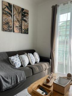 Appartement 20 mts plage, pl Méditerranée, vue mer parking - Canet-en-Roussillon - 4