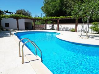 Green House Villa with Pool - Banjole - 3