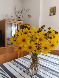 Appartamenti Viola Walter - 9