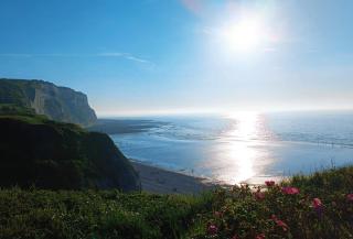 Camping les goélands - Saint-Martin-Plage - 3