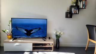 Ferienwohnungen Hankenstraße - 6