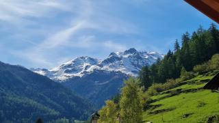 Mas del Mezdì - mountain chalet Val di Rabbi - 4