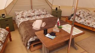 Calon Y Goedwig Glamping - 6