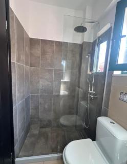 Reis Villa - Nikiana - 5