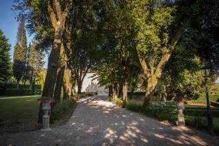 Villa Gerini Appartamenti indipendenti con piscina e ampi spazi - Ronta - 1