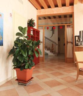 Agriturismo B&B Il Girasole - Oriago di Mira - 2
