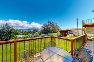 Vineyard Estate - 9